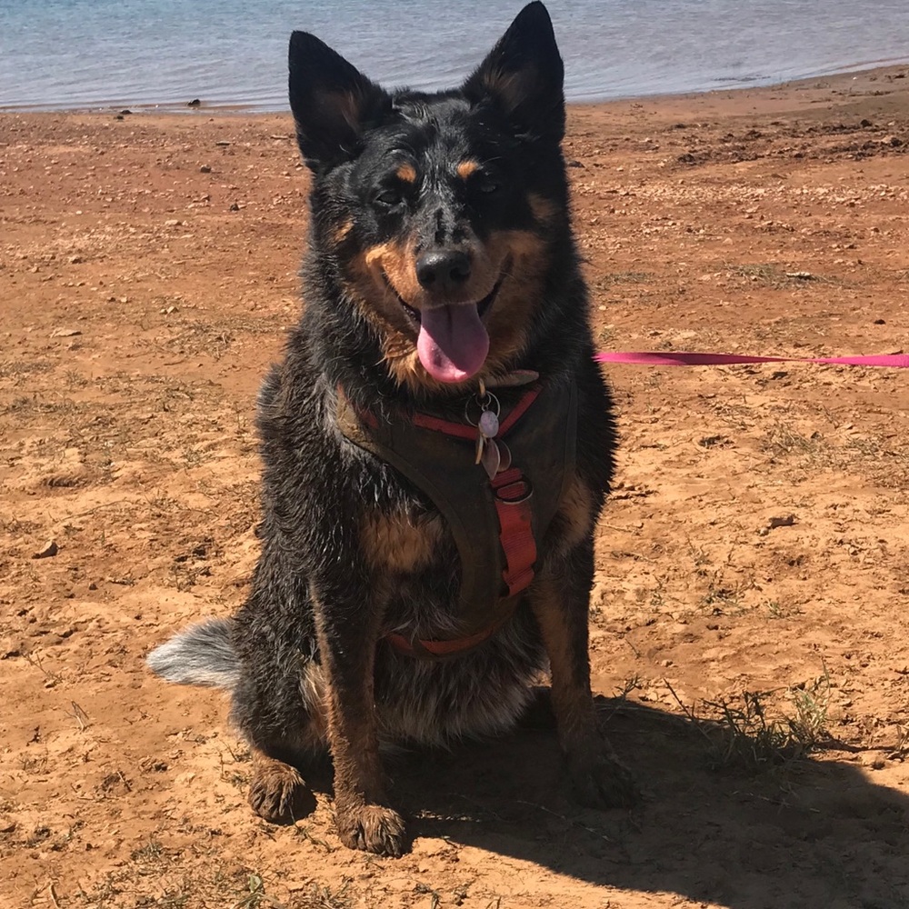 Meet your Posher, Brooklynn